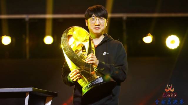 个人职业生 个人职业生