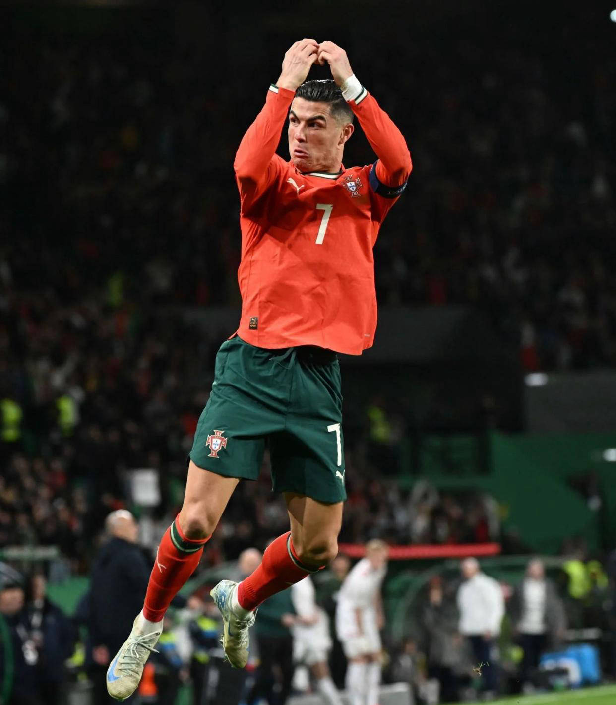 本文以综合 本文以综合